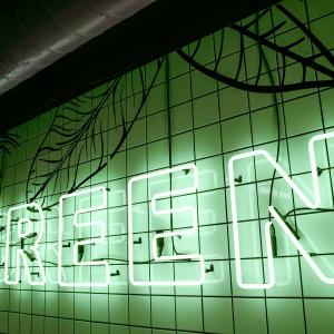 transizione green