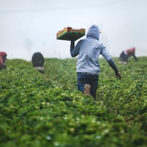 Operai agricoli