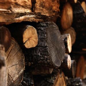 imprese della filiera della prima lavorazione del legno