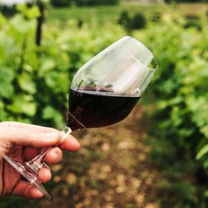 Settore Food & Wine
