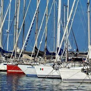 Barche a vela