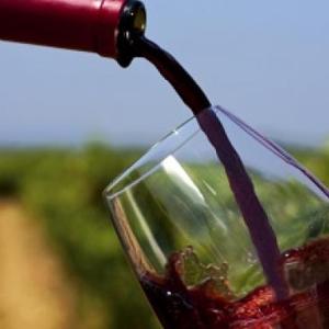 Vino Vino