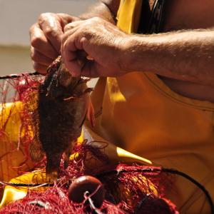 i pescatori dell'asinara i pescatori dell'asinara