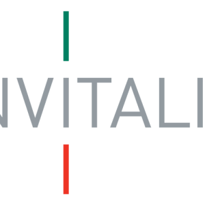 il logo di invitalia il logo di invitalia