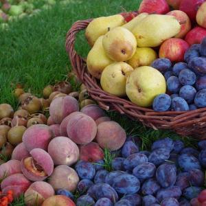 frutta mista frutta mista