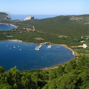 una veduta boschiva fronte mare una veduta boschiva fronte mare