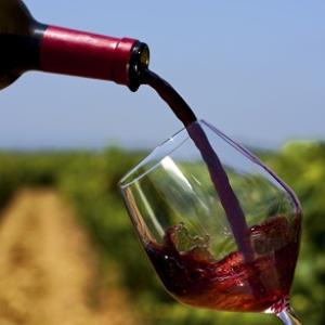 vino vino