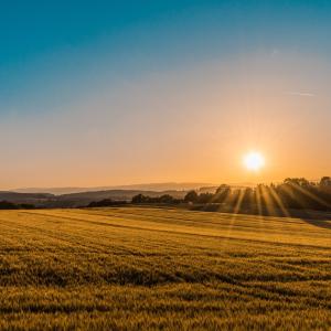 <span>Photo by <a href="https://unsplash.com/@federicorespini?utm_source=unsplash&utm_medium=referral&utm_content=creditCopyText">Federico Respini</a> on <a href="https://unsplash.com/s/photos/countryside?utm_source=unsplash&utm_medium=referral&utm_content=creditCopyText">Unsplash</a></span> Campagne
