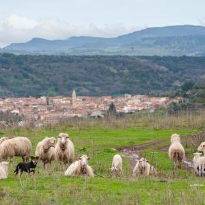 Turismo rurale