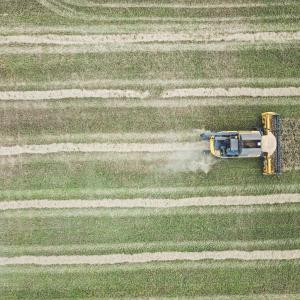 <span>Photo by <a href="https://unsplash.com/@lukethornton?utm_source=unsplash&utm_medium=referral&utm_content=creditCopyText">Luke Thornton</a> on <a href="https://unsplash.com/s/photos/agriculture-field?utm_source=unsplash&utm_medium=referral&utm_content=creditCopyText">Unsplash</a></span> Agricoltura