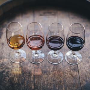 <span>Photo by <a href="https://unsplash.com/@qwitka?utm_source=unsplash&utm_medium=referral&utm_content=creditCopyText">Maksym Kaharlytskyi</a> on <a href="https://unsplash.com/s/photos/wine?utm_source=unsplash&utm_medium=referral&utm_content=creditCopyText">Unsplash</a></span> Viticoltura