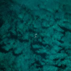 <span>Photo by <a href="https://unsplash.com/@thomasyohei?utm_source=unsplash&utm_medium=referral&utm_content=creditCopyText">Thomas Yohei</a> on <a href="https://unsplash.com/s/photos/deep-sea?utm_source=unsplash&utm_medium=referral&utm_content=creditCopyText">Unsplash</a></span> Pesca