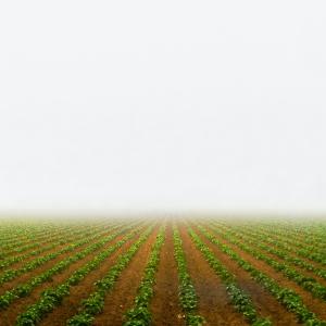Photo by <a href="https://unsplash.com/@clayleconey?utm_source=unsplash&utm_medium=referral&utm_content=creditCopyText">Clay LeConey</a> on <a href="https://unsplash.com/s/photos/agriculture-field?utm_source=unsplash&utm_medium=referral&utm_content=creditCopyText">Unsplash</a> Agricoltura