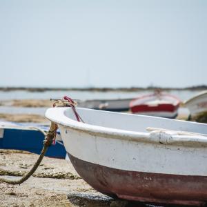 Photo by <a href="https://unsplash.com/@joseantoniojimenez?utm_source=unsplash&utm_medium=referral&utm_content=creditCopyText">Jose Antonio Jiménez Macías</a> on <a href="https://unsplash.com/s/photos/fish-work?utm_source=unsplash&utm_medium=referral&utm_content=creditCopyText">Unsplash</a> Pesca