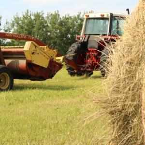 agricoltura agricoltura