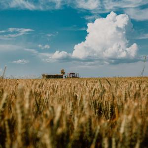 agricoltura - immagine simbolica agricoltura - immagine simbolica