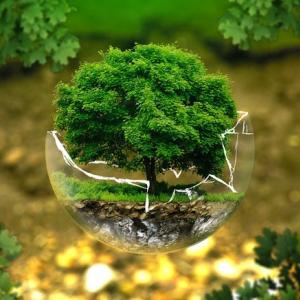 ambiente e crescita sostenibile ambiente e crescita sostenibile