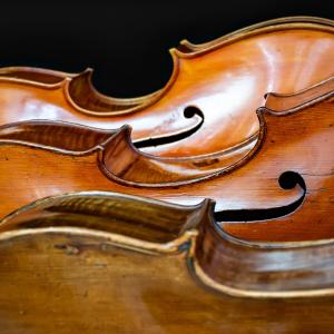 Violoncello