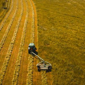 Agricoltura