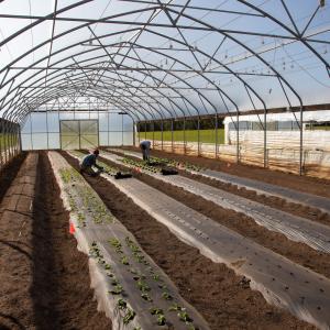 Agricoltura