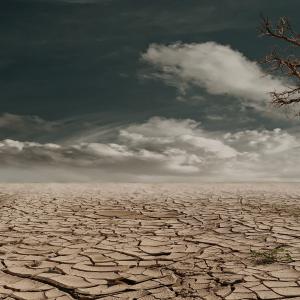 Desertificazione
