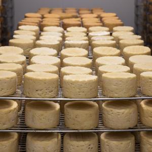 Conservazione formaggio