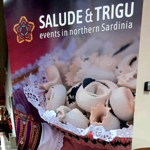 Salude & Trigu
