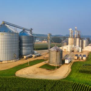 Impresa agricola
