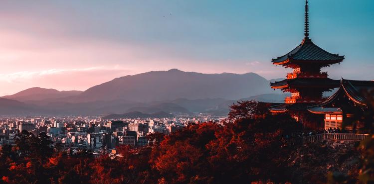 Tokyo panorama