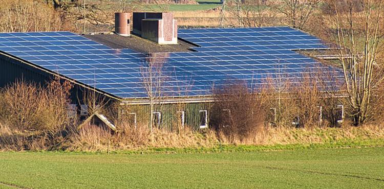 Bando Fotovoltaico