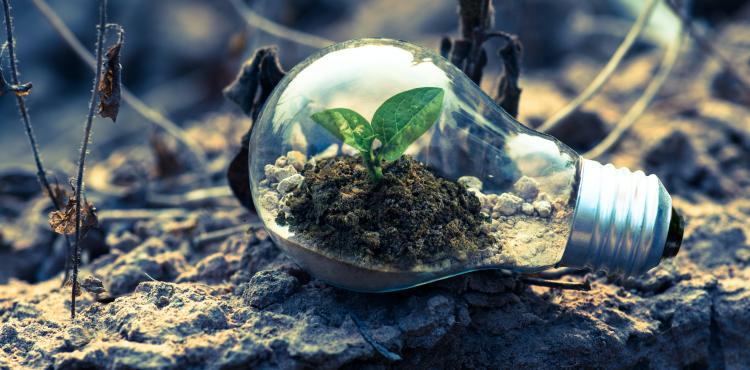 ecologia