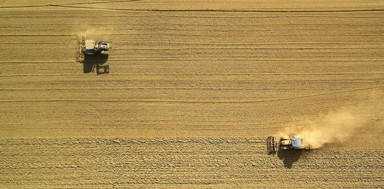 Agricoltura