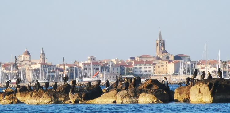 Alghero