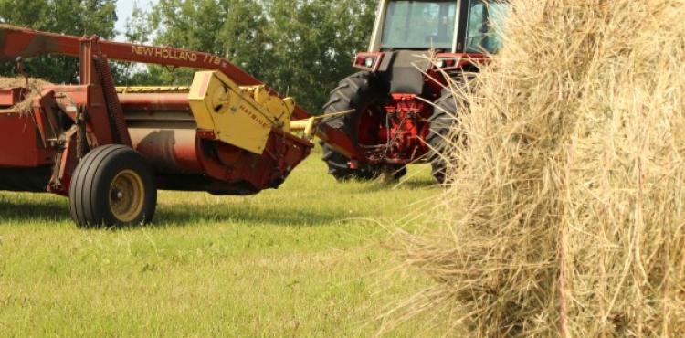 agricoltura e bioraffineria agricoltura