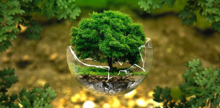 ambiente e crescita sostenibile ambiente e crescita sostenibile
