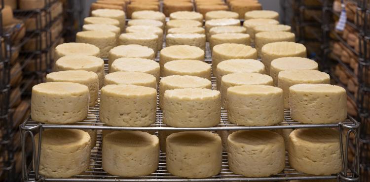 Conservazione formaggio