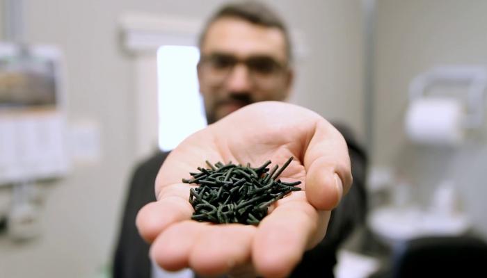 Embedded thumbnail for Spirulina, il superfood fatto in Sardegna